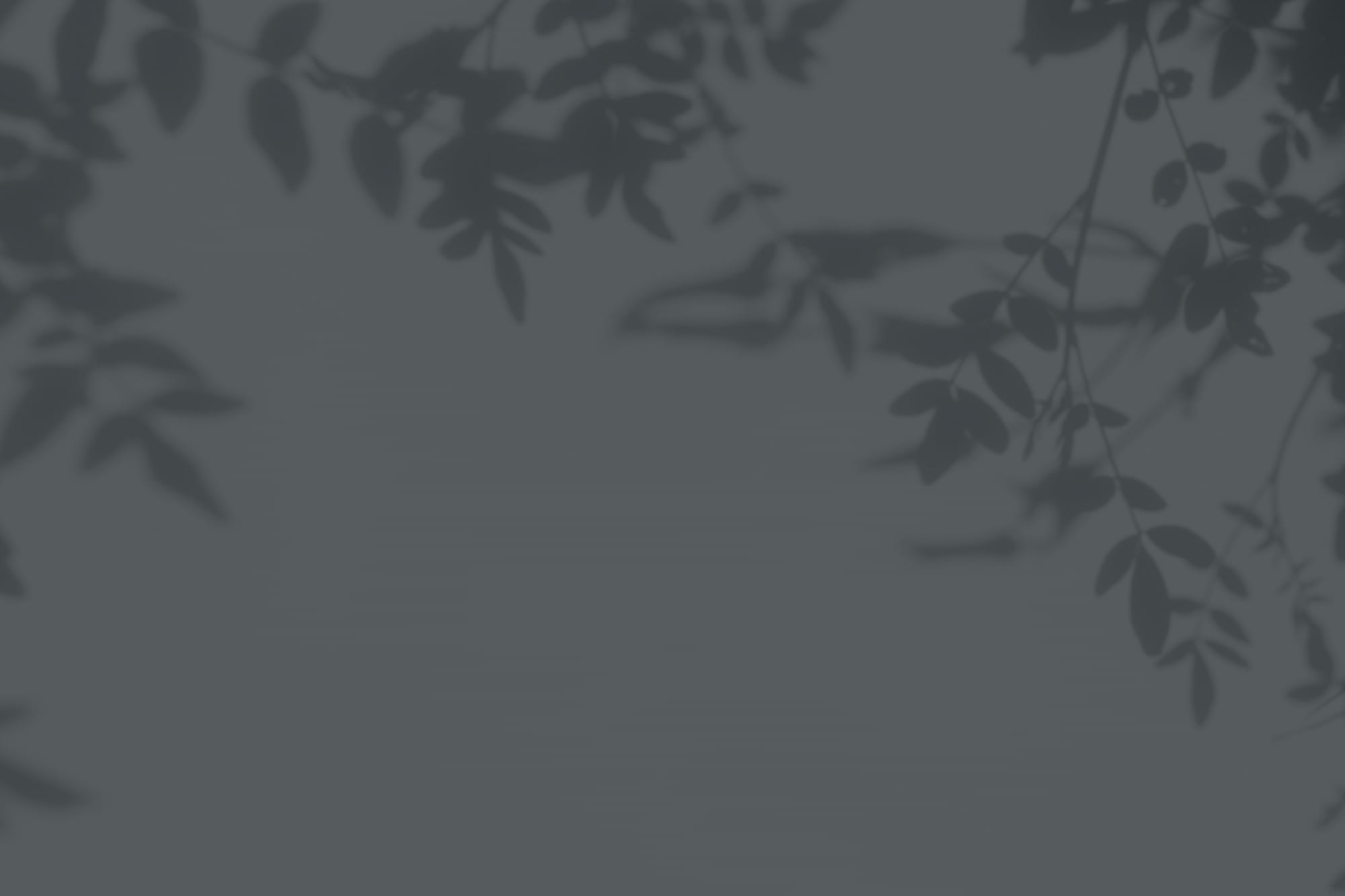 Dentist in East Brunswick