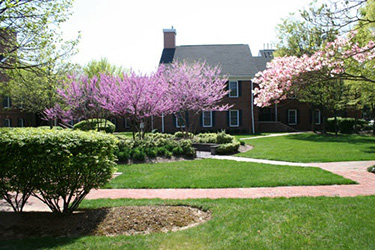 Family Dentist in East Brunswick