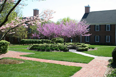 Emergency Dentist East Brunswick